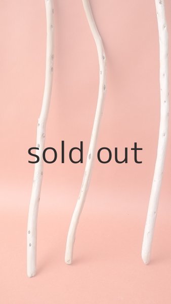 画像2: 棒流木セット (2)