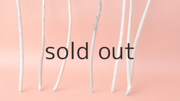 画像5: 棒流木セット (5)