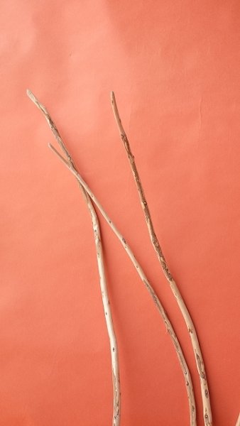 画像5: 棒流木セット (5)