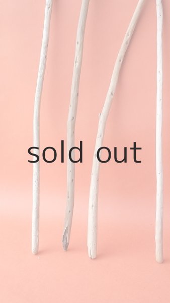 画像5: 棒流木セット (5)