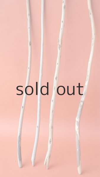 画像2: 棒流木セット (2)