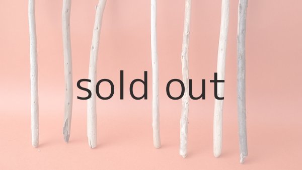 画像2: 棒流木セット (2)