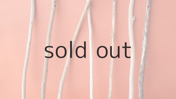 画像3: 棒流木セット (3)