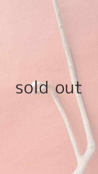 画像3: 小枝流木 (3)