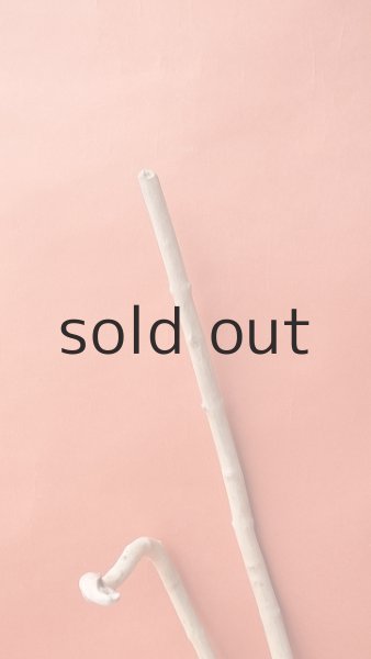 画像4: 小枝流木 (4)