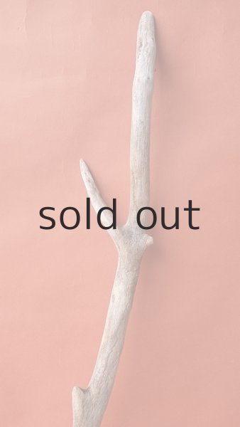 画像3: 小枝流木 (3)