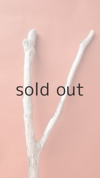 画像3: 小枝流木 (3)