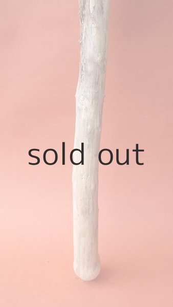 画像2: 小枝流木 (2)