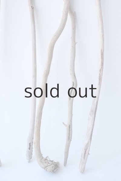 画像3: 小枝流木セット (3)