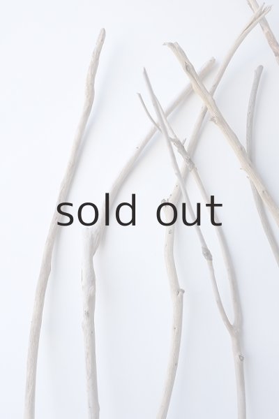 画像4: 小枝流木セット (4)