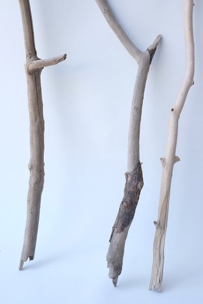 画像2: 小枝流木セット (2)