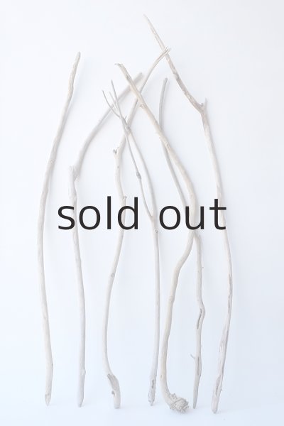 画像1: 小枝流木セット (1)