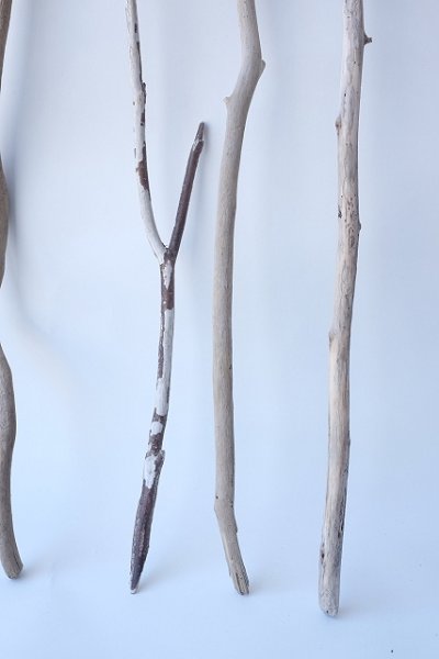 画像5: 小枝流木セット (5)