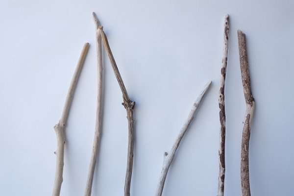 画像4: 小枝流木セット (4)