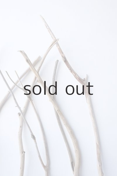 画像5: 小枝流木セット (5)