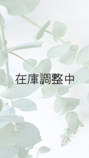 画像6: Dry plants for decor ユーカリ生切り枝（ブルーガム）タイプ700〜1000mm (6)