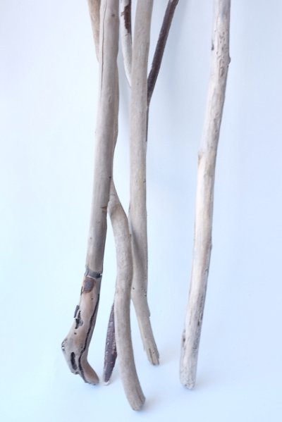 画像1: 小枝流木セット