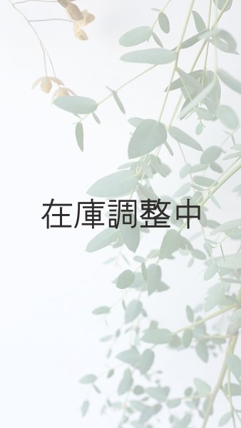 画像5: Dry plants for decor ユーカリ生切り枝（グニー）タイプ700〜1000mm (5)