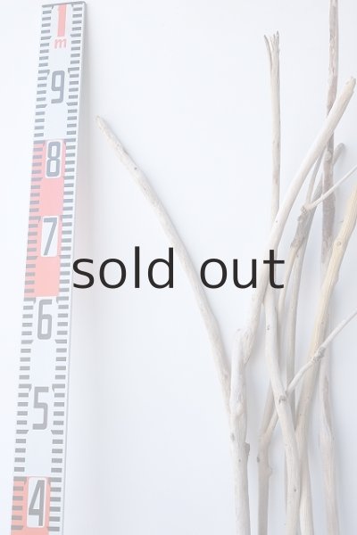 画像6: 小枝流木セット (6)