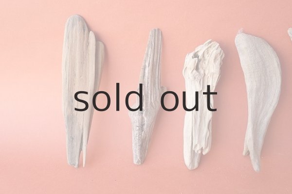 画像2: 変形流木セット (2)