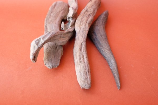 画像4: 変形流木セット (4)