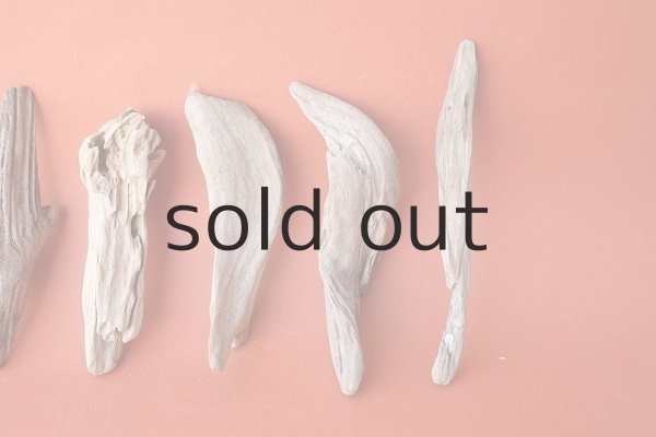 画像3: 変形流木セット (3)