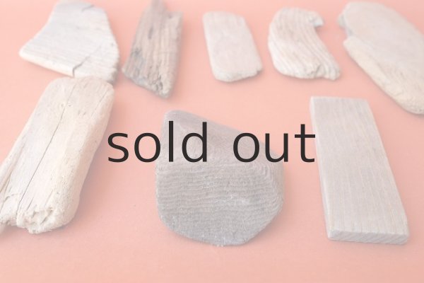 画像4: 板流木セット (4)