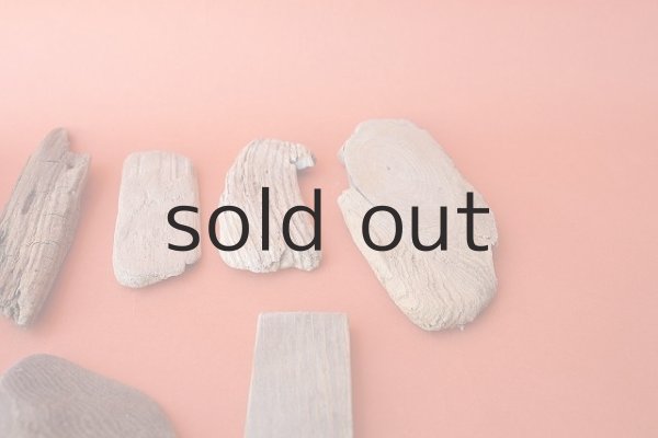 画像3: 板流木セット (3)