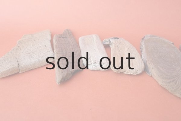 画像5: 板流木セット (5)