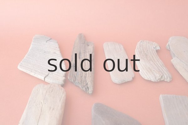 画像2: 板流木セット (2)