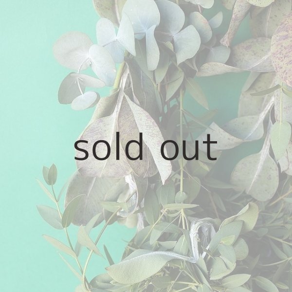 画像3: Dry plants for decor ユーカリ2種シンプルリース (3)