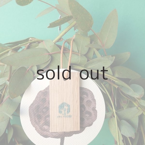 画像2: Dry plants for decor ユーカリ3種シンプルリース (2)