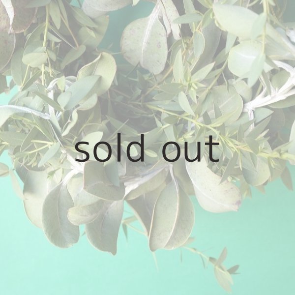 画像4: Dry plants for decor ユーカリ2種シンプルリース (4)