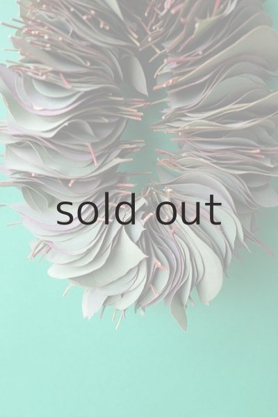 画像10: Dry plants for decor ユーカリリーフリース (10)