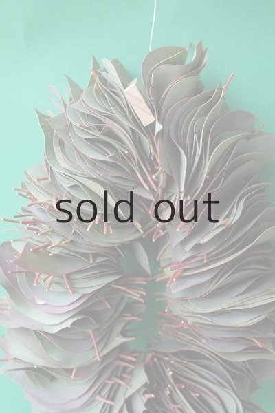 画像9: Dry plants for decor ユーカリリーフリース (9)