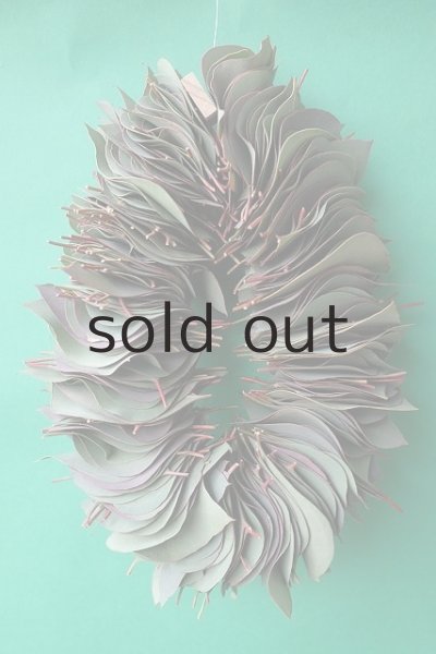 画像8: Dry plants for decor ユーカリリーフリース (8)