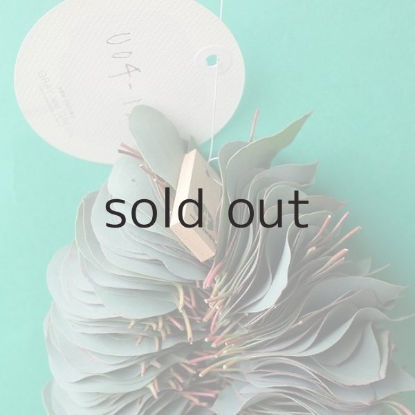 画像2: Dry plants for decor ユーカリリーフリース (2)