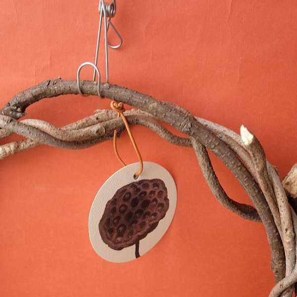 画像2: Dry plants for decorリース用かずら (2)