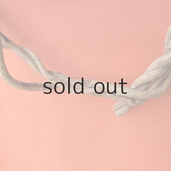 画像5: Dry plants for decorリース用かずら (5)