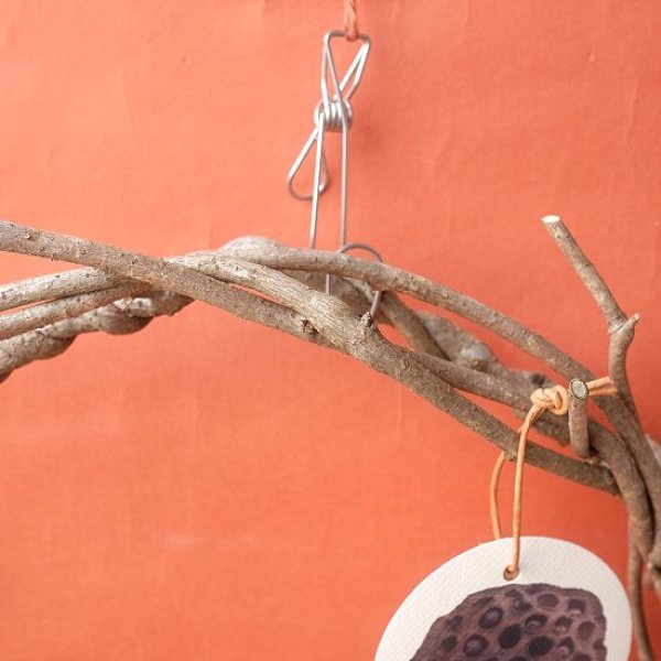 画像2: Dry plants for decorリース用かずら (2)