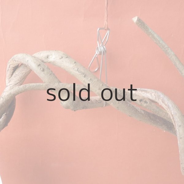 画像2: Dry plants for decorリース用かずら (2)