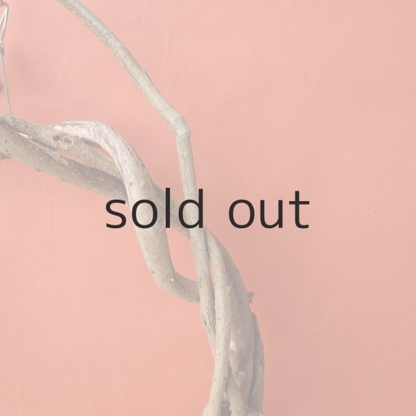 画像3: Dry plants for decorリース用かずら (3)