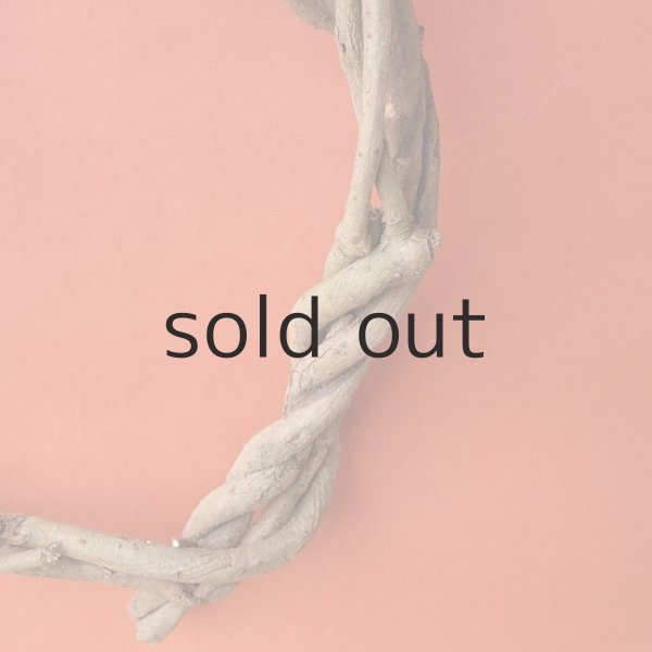 画像4: Dry plants for decorリース用かずら (4)