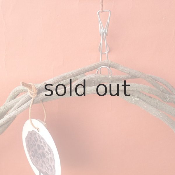 画像2: Dry plants for decorリース用かずら (2)