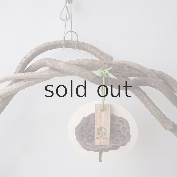 画像2: Dry plants for decorリース用かずら (2)