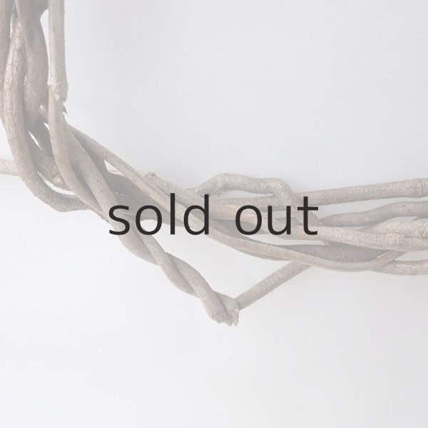 画像5: Dry plants for decorリース用かずら (5)