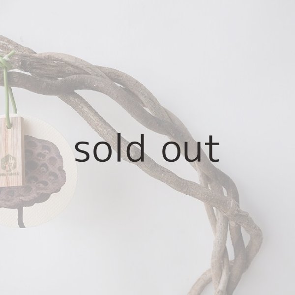 画像3: Dry plants for decorリース用かずら (3)