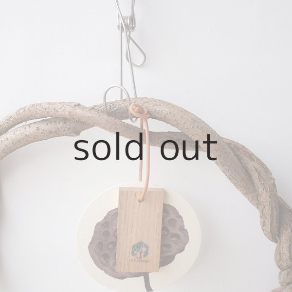 画像2: Dry plants for decorリース用かずら (2)