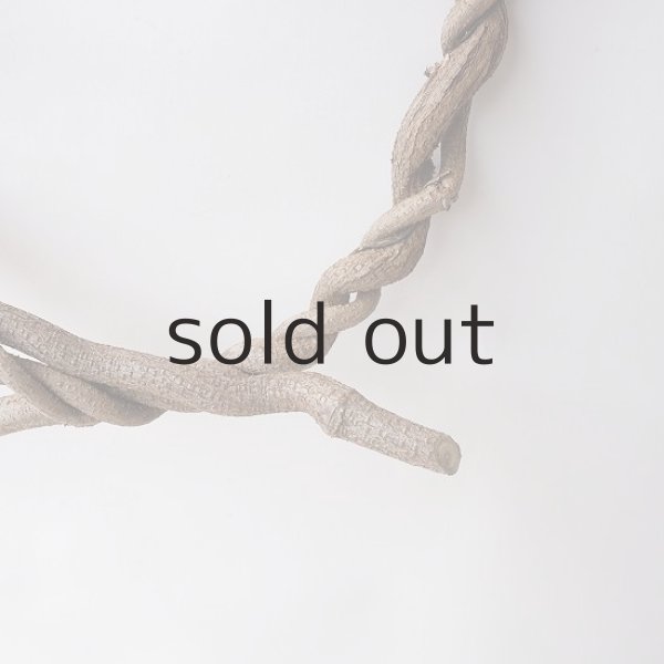 画像4: Dry plants for decorリース用かずら (4)