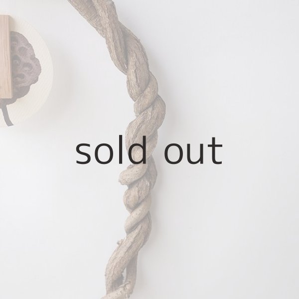 画像3: Dry plants for decorリース用かずら (3)